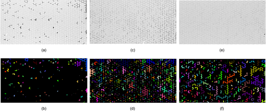 Fig. 7. Refer to the image caption for details.