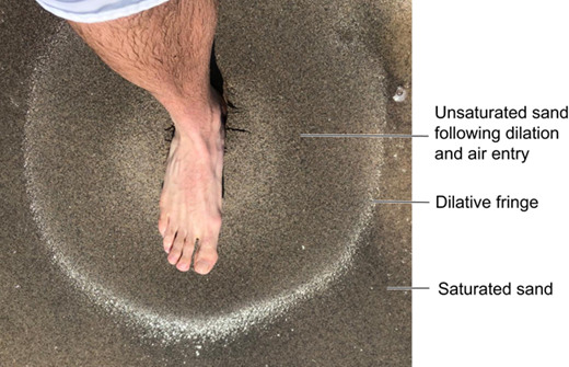 Fig. 1. Refer to the image caption for details.