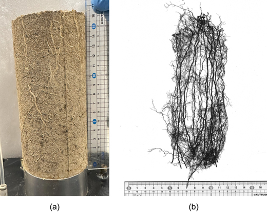 Fig. 2. Refer to the image caption for details.