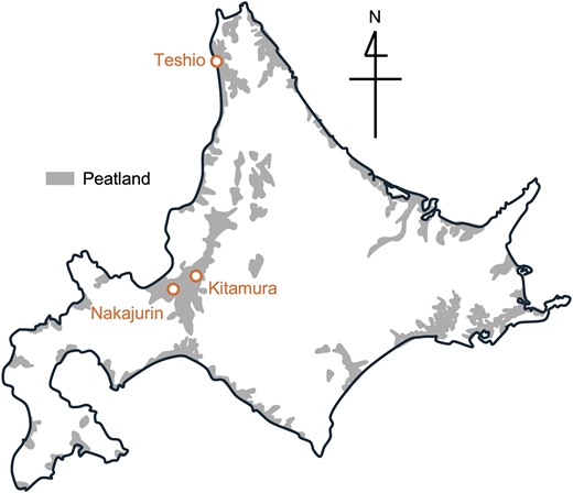 Fig. 4. Refer to the image caption for details.
