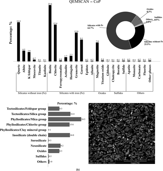 Q E M S C A N analysis of C o T presents mineral percentages, grouped compositions, a summary chart, and a particle micrograph.