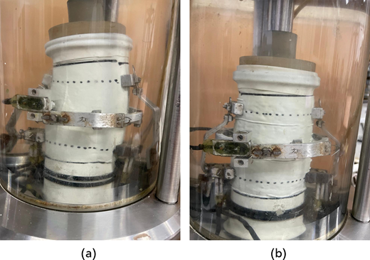 Two views, a and b, present a cylindrical specimen enclosed in a testing chamber and secured by external clamps.
