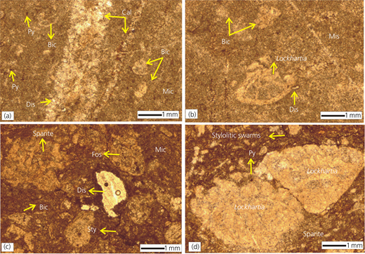 Figure 2 Refer to the image caption for details.