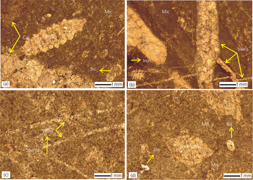 Figure 3 Refer to the image caption for details.