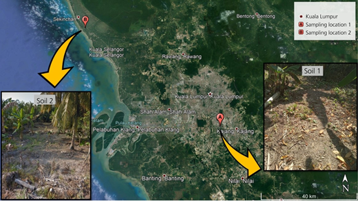 Figure 1 Refer to the image caption for details.