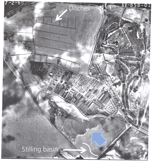 Figure 3 Refer to the image caption for details.