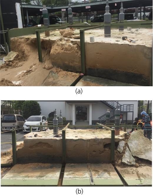 Figure 1 Refer to the image caption for details.
