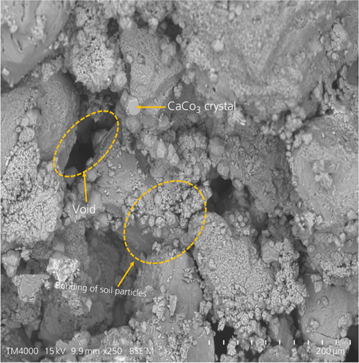 Figure 2 Refer to the image caption for details.