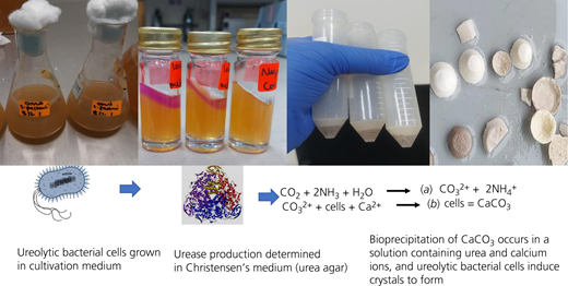 Figure 3 Refer to the image caption for details.