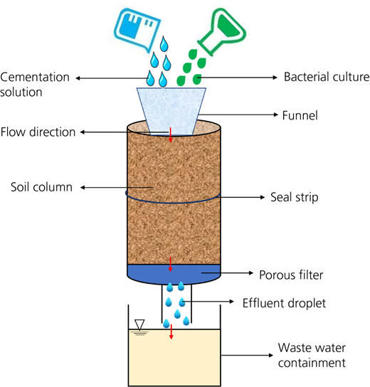 Figure 5 Refer to the image caption for details.