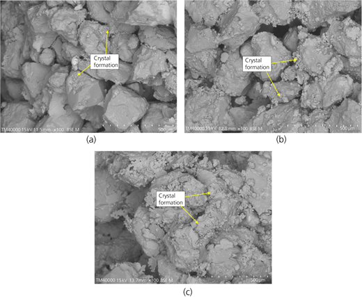 Figure 2 Refer to the image caption for details.