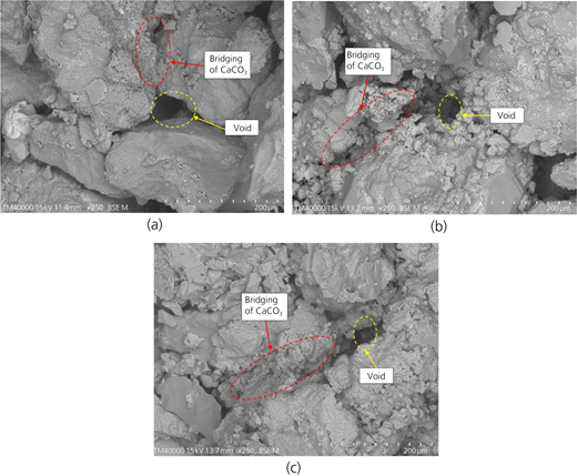Figure 3 Refer to the image caption for details.