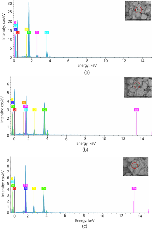 Figure 4 Refer to the image caption for details.