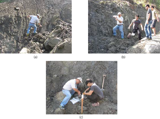 Figure 13 Refer to the image caption for details.