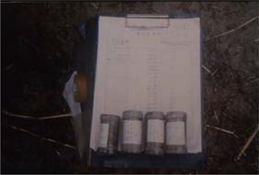 Figure 4 Refer to the image caption for details.