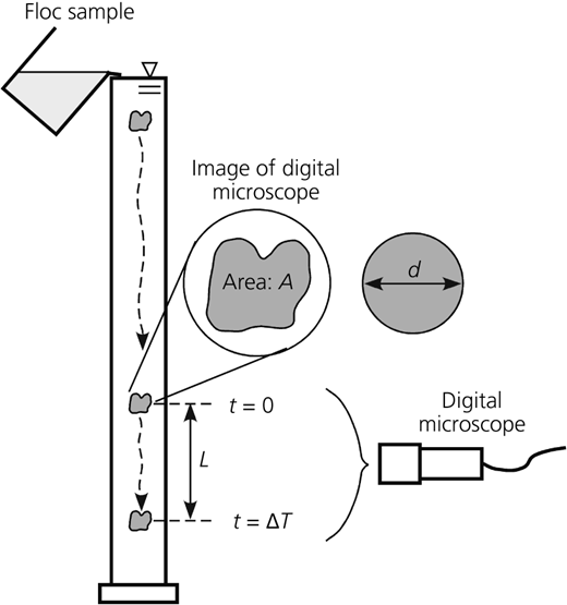 Figure 2 Refer to the image caption for details.