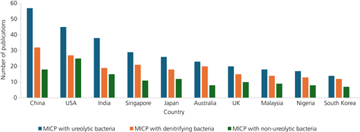 Figure 6 Refer to the image caption for details.