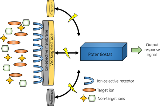 Schematic diagram of an S-ISE (based on MELab (2013)) Refer to the image caption for details.