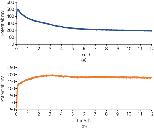 Ion-selective sensor continuous measurements in 12 h MICP batch reactor experiment: (a) ammonium; (b) calcium Refer to the image caption for details.