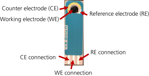 Photograph of a typical complete PISM sensor Refer to the image caption for details.