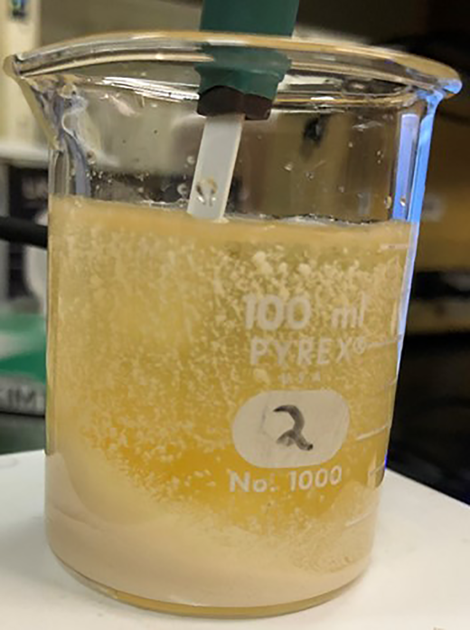 MICP batch reactor experiment monitored with an ion-selective sensor Refer to the image caption for details.