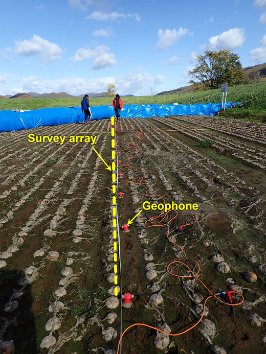 Figure 6. Refer to the image caption for details.