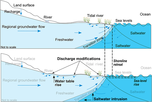 Figure 2. Refer to the image caption for details.