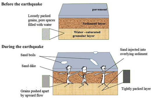 An illustration shows sediment layers before and during an earthquake, depicting water saturation, sand injection, and soil movement under seismic activity.