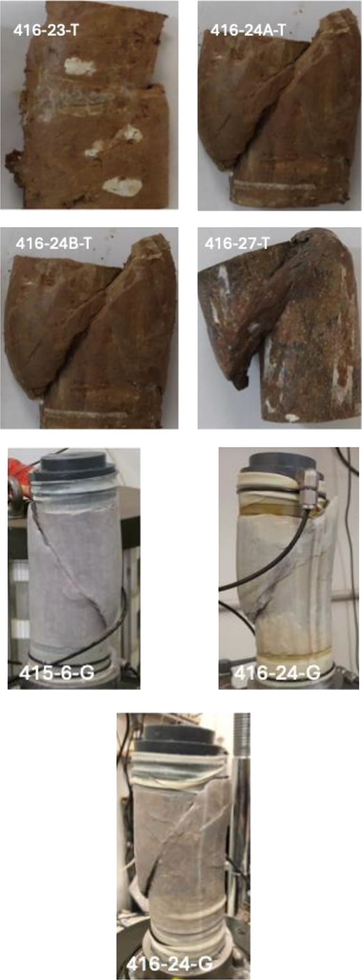 Four pieces of unidentified items are shown, each labelled with codes. They display varied shapes and textures, indicating potential material differences.