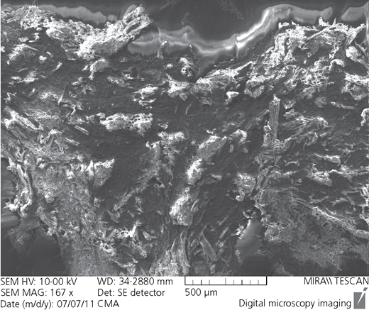 Figure 2 Refer to the image caption for details.