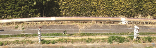 Figure 1 Refer to the image caption for details.