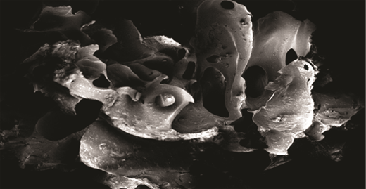 Figure 4 Refer to the image caption for details.