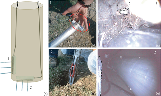 Figure 5 Refer to the image caption for details.