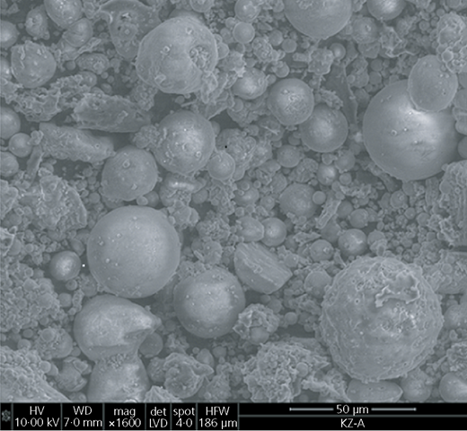 Figure 1 Refer to the image caption for details.