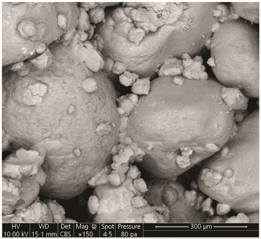 Figure 1 Refer to the image caption for details.