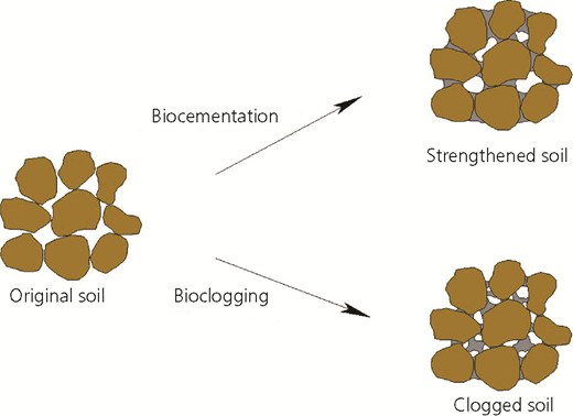 Figure 2 Refer to the image caption for details.