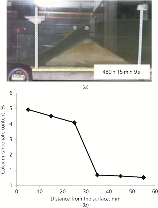 Figure 6 Refer to the image caption for details.
