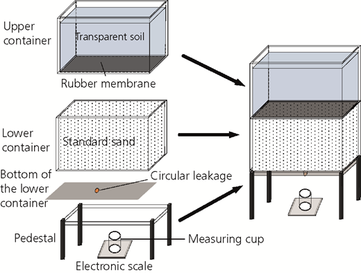 Figure 2 Refer to the image caption for details.