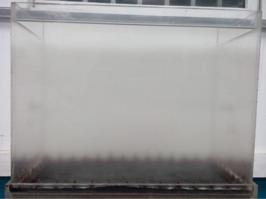 Figure 3 Refer to the image caption for details.
