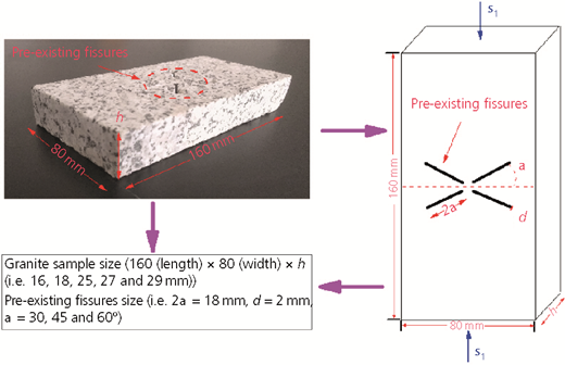 Figure 1 Refer to the image caption for details.