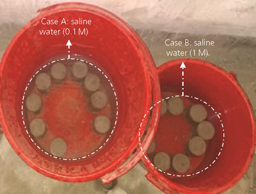 Figure 3 Refer to the image caption for details.
