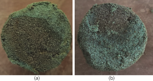 Figure 5 Refer to the image caption for details.