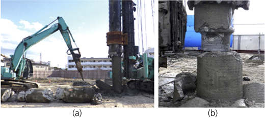 Figure 2 Refer to the image caption for details.