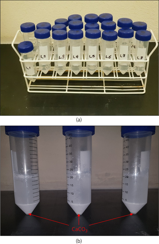 Figure 1 Refer to the image caption for details.