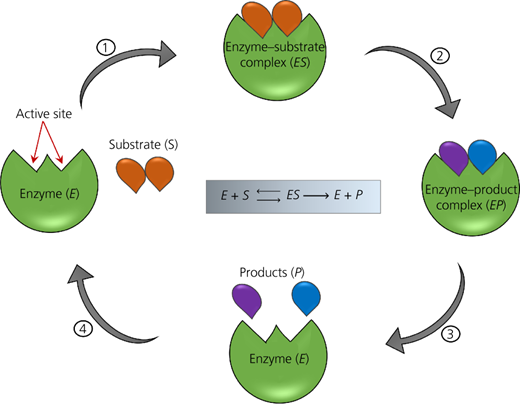 Figure 17 Refer to the image caption for details.
