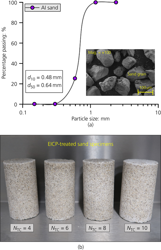 Figure 2 Refer to the image caption for details.