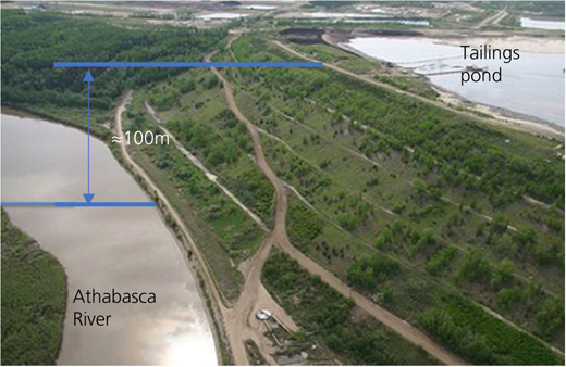Figure 3 Refer to the image caption for details.
