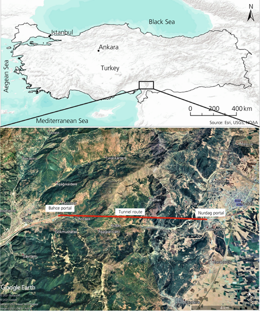 Figure 1 Refer to the image caption for details.