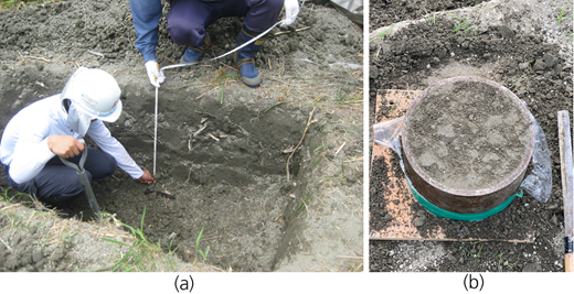 Block sample of the extra fill in 2011: (a) 0.5 m below of the top; (b) MDC lumps in the block Refer to the image caption for details.
