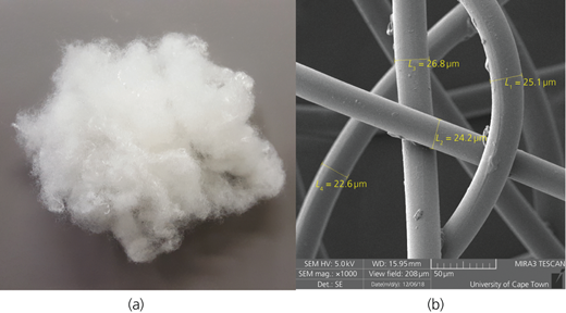 Figure 3 Refer to the image caption for details.
